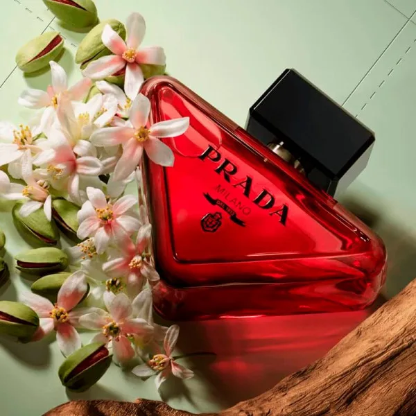 Paradoxe Radical Essence - Prada
